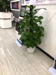 点击看大图 -悟空祛痘·亚健康皮肤管理中心