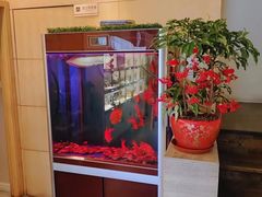 -宫七SPA·高端Massage(浦东大道店)