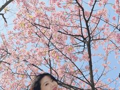 -上海植物园-4号门售票处