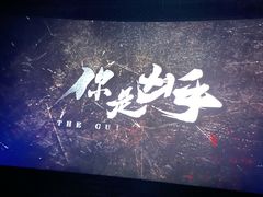 -万象影城(石家庄万象城IMAX激光店)