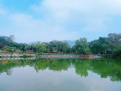 -大屏嶂森林公园