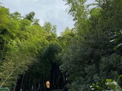 -树山生态村
