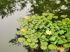 -南山植物园