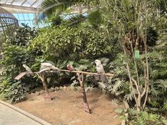 -南宫五洲植物乐园