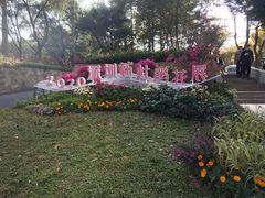 -莲花山公园