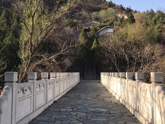 -白水寺森林公园
