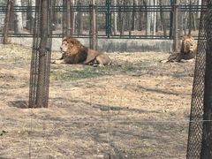 -秦皇岛野生动物园