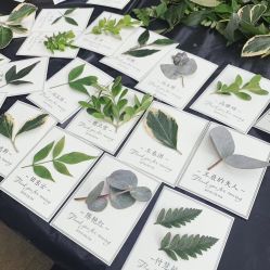 点击看大图 -美薇亭婚礼顾问