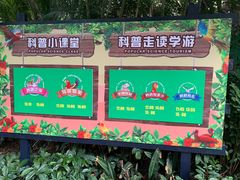 -广州长隆飞鸟乐园