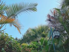 -林丰温泉度假山庄