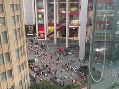 -小大董·烤鸭(观景餐厅·南京西路店)