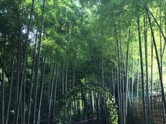 -杭州黄龙洞