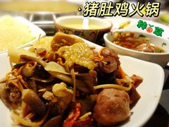 猪肚鸡-尚尚仙·酸汤猪手·猪肚鸡火锅(华联万柳购物中心店)