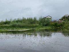-大理洱源西湖景区