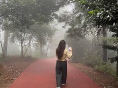 -敬亭山风景名胜区