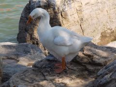 -天津东丽湖风景区