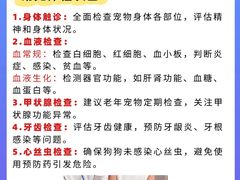 -康成宠物医院24H·CT·核磁共振