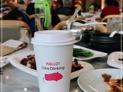 -陈麻婆豆腐总店
