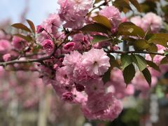 -苏州河梦清园环保主题公园