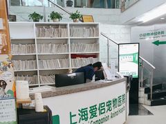 -爱侣宠医·鹦鹉专科·小型哺乳类·异宠专科(灵石路店)