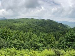 -山王坪喀斯特国家生态公园