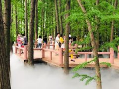 -东湖落雁景区