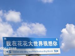 -南宁花花大世界景区