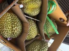 -禾富水果批发市场