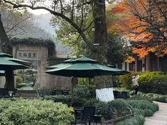 -十八棵（老龙井）御茶园(老龙井店)