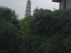 iphone_upload_pic-榴花公园