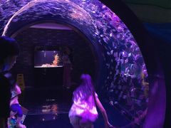 -成都浩海立方海洋公园