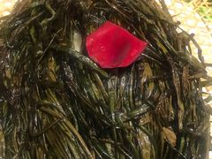-老吉士(环贸iapm店)