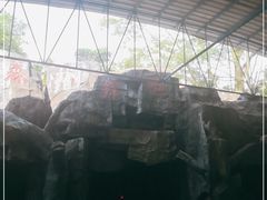 -广东茂名森林公园