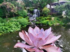 -熙古里艺术村