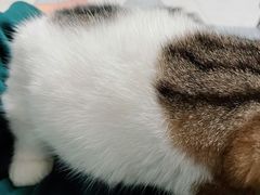 -comecome来吧宠物(奥克斯中心店)