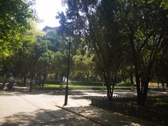 -山东大学(趵突泉校区)