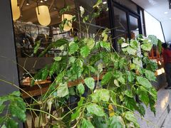 -小桃园·豆浆油条(复兴中路店)