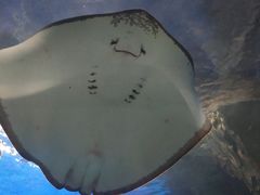 -福州罗源湾海洋世界旅游区