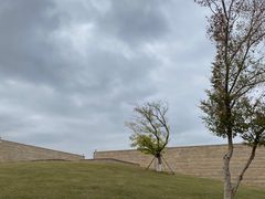 -盘龙城国家考古遗址公园