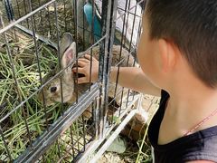 -马陆小张葡萄园农家乐