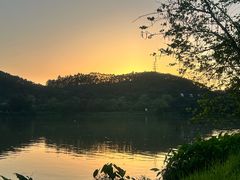 -鹤之洲湿地公园