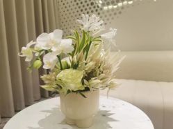 -明潪Selfology升维护理中心