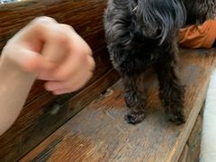 -VESH COFFEE(定西路店)