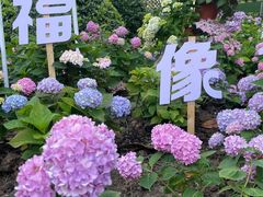 -常州古运河南大街文化旅游区-人民公园