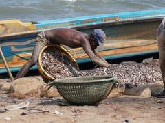 -尼甘布海鲜市场