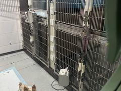 -半岛宠物医院24小时(科华中路店)