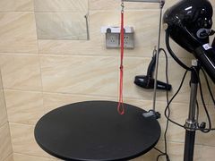 -安安宠医·安宠宠物医院