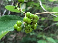 -碓臼峪自然风景区