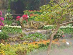 -广州市白云山风景名胜区