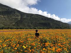 -雅鲁藏布江